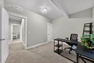 5204 Sirbal Dr, Colorado Springs, CO 80924 - Photo 38