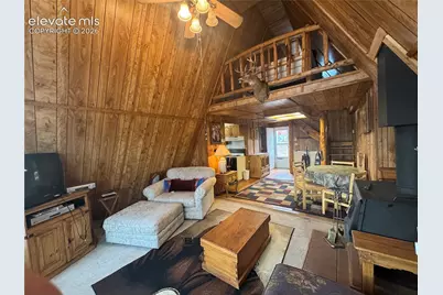 15 Dogie Trail, Lake George, CO 80827 - Photo 8
