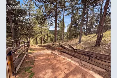 144 Dandy Jim Drive, Cripple Creek, CO 80813 - Photo 24