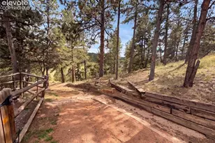 144 Dandy Jim Dr, Cripple Creek, CO 80813 - Photo 24