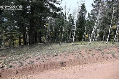 1020 Princess Road, Cripple Creek, CO 80813 - Photo 12