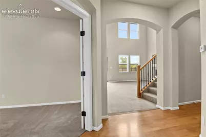 6651 Big Leaf Lane, Colorado Springs, CO 80927 - Photo 4