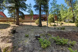 69 Cody Creek Trail, Divide, CO 80814 - Photo 36