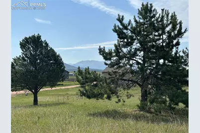 333 Golden Grain Lane, Divide, CO 80814 - Photo 4