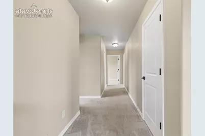 5011 Petrified Forest Trail, Colorado Springs, CO 80924 - Photo 42