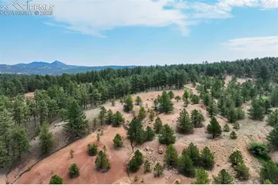 39 Reed Drive, Florissant, CO 80816 - Photo 6