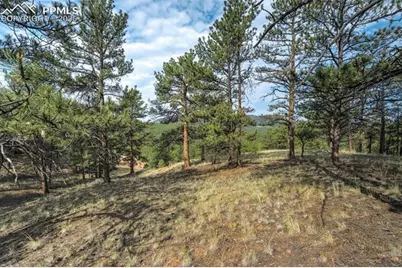 39 Reed Drive, Florissant, CO 80816 - Photo 18