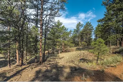39 Reed Drive, Florissant, CO 80816 - Photo 12