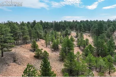 39 Reed Drive, Florissant, CO 80816 - Photo 8