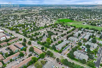 1236 Samuel Point, Colorado Springs, CO 80906 - Photo 24