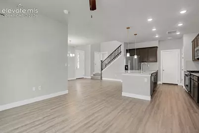 10007 Vervain View, Colorado Springs, CO 80924 - Photo 8