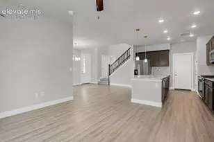 10007 Vervain View, Colorado Springs, CO 80924 - Photo 8