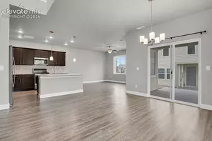 10007 Vervain View, Colorado Springs, CO 80924 - Photo 4