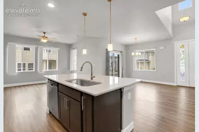 10007 Vervain View, Colorado Springs, CO 80924 - Photo 6