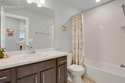 10007 Vervain View, Colorado Springs, CO 80924 - Photo 14
