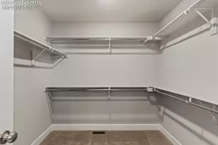 10007 Vervain View, Colorado Springs, CO 80924 - Photo 24