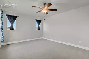 10007 Vervain View, Colorado Springs, CO 80924 - Photo 10