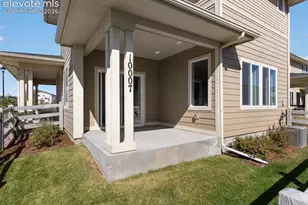 10007 Vervain View, Colorado Springs, CO 80924 - Photo 34