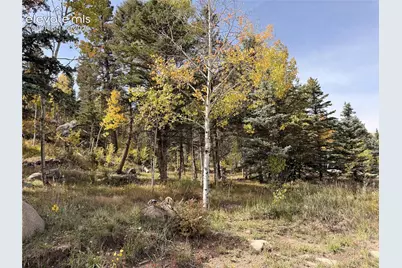 340 Forest Lane, Lake George, CO 80827 - Photo 40