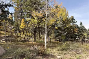 340 Forest Ln, Lake George, CO 80827 - Photo 40