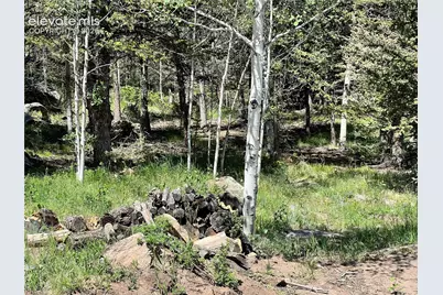 340 Forest Lane, Lake George, CO 80827 - Photo 38