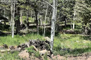 340 Forest Ln, Lake George, CO 80827 - Photo 38