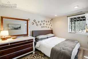 403 Pioneer Creek Dr, Florissant, CO 80816 - Photo 14
