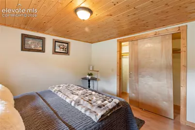 1021 Markus Road, Woodland Park, CO 80863 - Photo 20