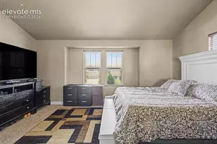 6678 Cottonwood Tree Dr, Colorado Springs, CO 80927 - Photo 18