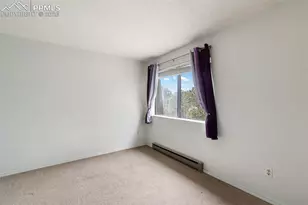 560 Manor Ct, Woodland Park, CO 80863 - Photo 12