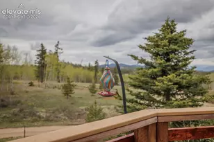 124 Bear Trail, Florissant, CO 80816 - Photo 22