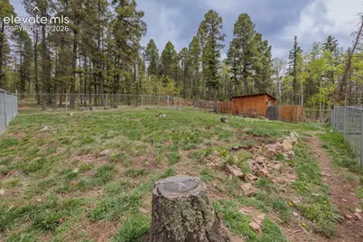 124 Bear Trail, Florissant, CO 80816 - Photo 38