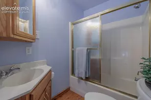 124 Bear Trail, Florissant, CO 80816 - Photo 32