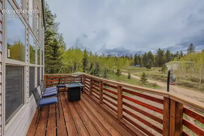 124 Bear Trail, Florissant, CO 80816 - Photo 20