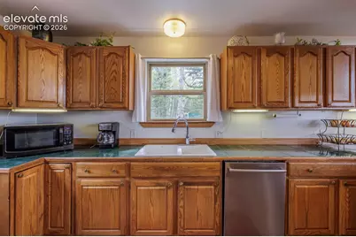 124 Bear Trail, Florissant, CO 80816 - Photo 12