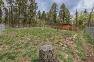 124 Bear Trail, Florissant, CO 80816 - Photo 40