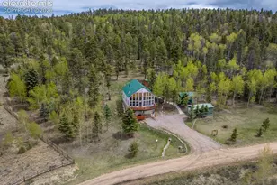 124 Bear Trail, Florissant, CO 80816 - Photo 46
