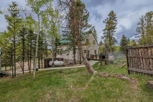 124 Bear Trail, Florissant, CO 80816 - Photo 42