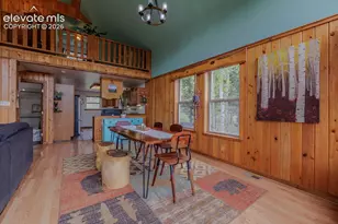 124 Bear Trail, Florissant, CO 80816 - Photo 14