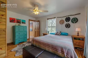 124 Bear Trail, Florissant, CO 80816 - Photo 26