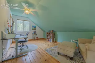 124 Bear Trail, Florissant, CO 80816 - Photo 30