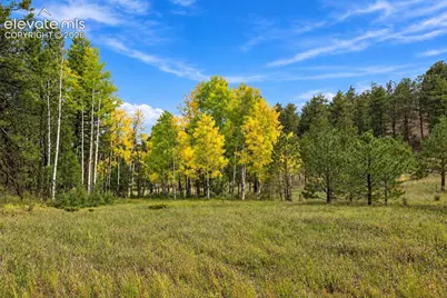 Tbd Trail Creek Road, Florissant, CO 80816 - Photo 4