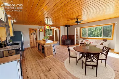 Tbd Trail Creek Road, Florissant, CO 80816 - Photo 24