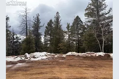 84 Point View Circle, Florissant, CO 80816 - Photo 2