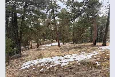84 Point View Circle, Florissant, CO 80816 - Photo 4