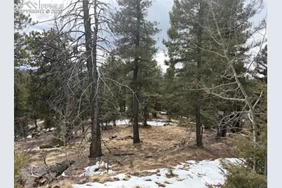 84 Point View Circle, Florissant, CO 80816 - Photo 6