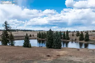 19 Worley Rd, Divide, CO 80814 - Photo 4