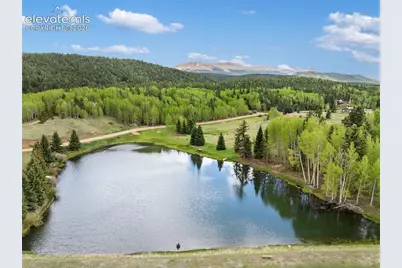 19 Worley Road, Divide, CO 80814 - Photo 28