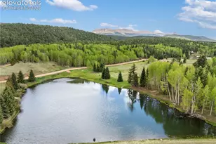 19 Worley Rd, Divide, CO 80814 - Photo 28
