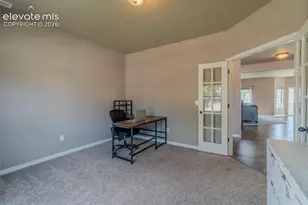 7247 Cat Tail Creek Dr, Colorado Springs, CO 80923 - Photo 8
